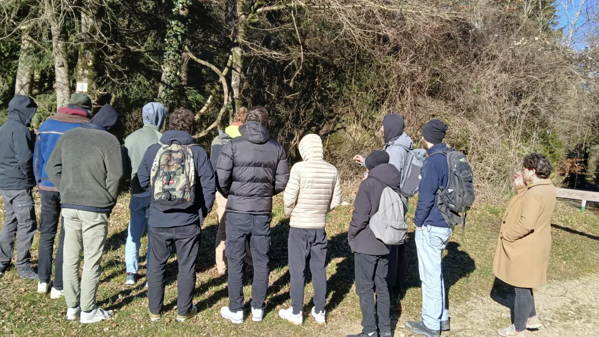 Retour sur une journée dédiée au bois et au savoir-faire artisanal
