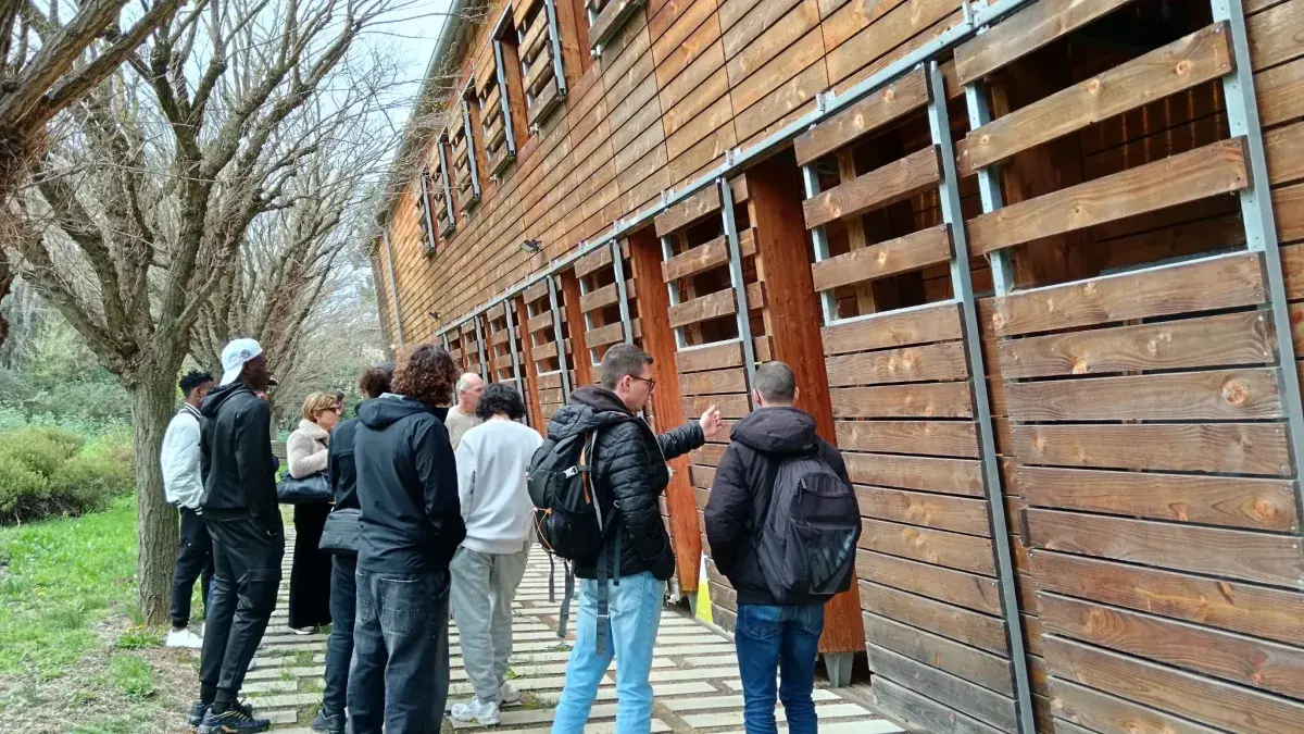 visite CAUE
