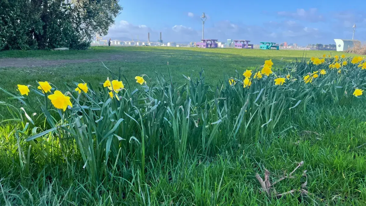 Préparation mobilité européenne - Dublin