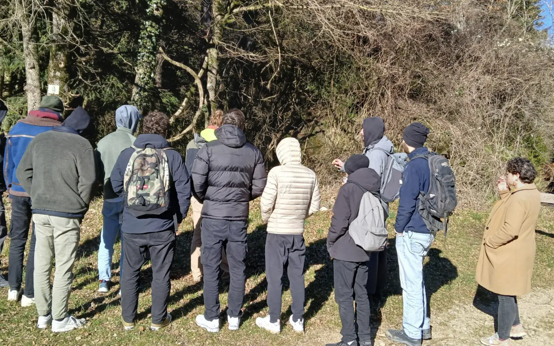 Retour sur une journée dédiée au bois et au savoir-faire artisanal