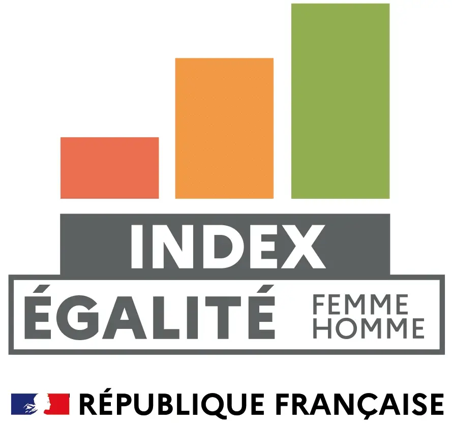 logo-index-egalite-professionnelle_0.png